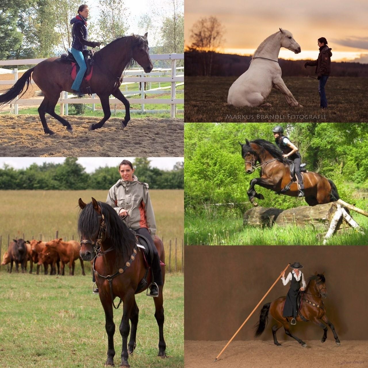 Ganzheitliche Ausbildung