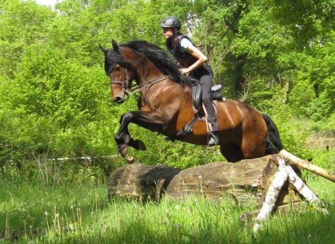 Vielseitigkeitsreiten