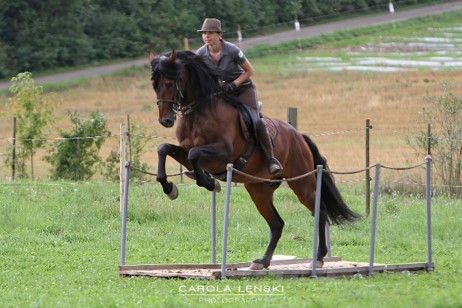 Fargo_Br&uuml;cke_Speedtrail